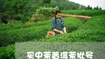 买中茶普洱茶批号/2023031684927