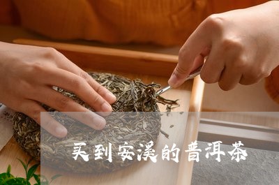 买到安溪的普洱茶/2023041427371