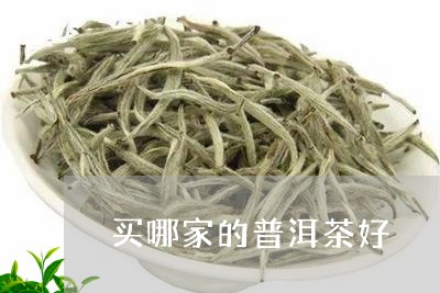 买哪家的普洱茶好/2023031797049