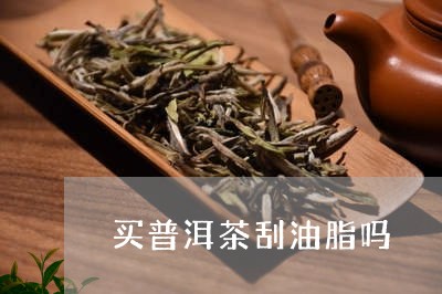 买普洱茶刮油脂吗/2023041391606