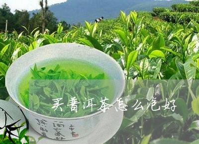 买普洱茶怎么泡好/2023031610693