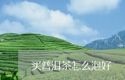 买普洱茶怎么泡好/2023041258280