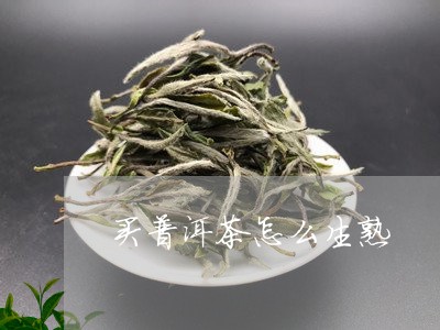 买普洱茶怎么生熟/2023031771614