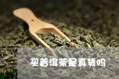 买普洱茶是真货吗/2023031625258