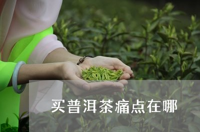 买普洱茶痛点在哪/2023041393937