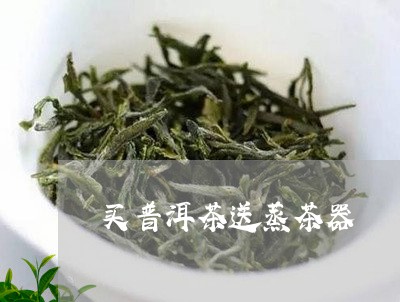 买普洱茶送蒸茶器/2023040166137