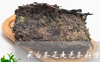 买白茶还是老茶好些呢图片/2023033118370