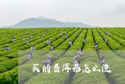 买的普洱茶怎么洗/2023040136938