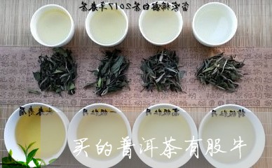 买的普洱茶有股牛/2023033181516