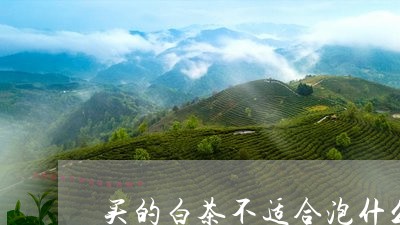 买的白茶不适合泡什么茶叶/2023033197271