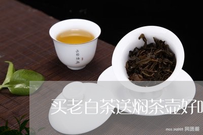 买老白茶送焖茶壶好吗视频/2023033192625