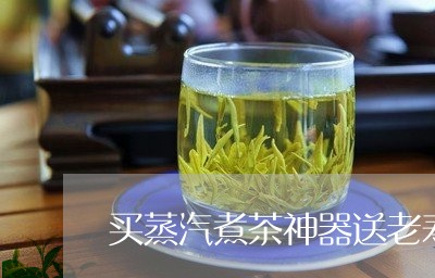 买蒸汽煮茶神器送老寿眉茶/2023033179179