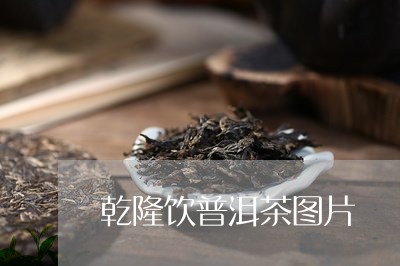 乾隆饮普洱茶图片/2023031873836