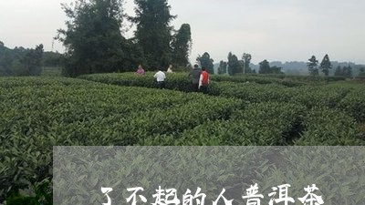 了不起的人普洱茶/2023041055581