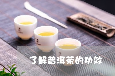 了解普洱茶的功效/2023041392027