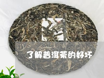 了解普洱茶的好坏/2023041270837