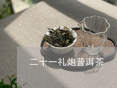 二十一礼炮普洱茶/2023033111714