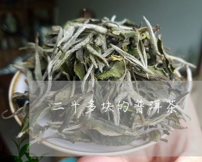 二十多块的普洱茶/2023033029816