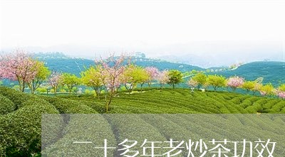 二十多年老炒茶功效/2023041616261