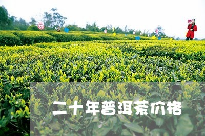 二十年普洱茶价格/2023041316947