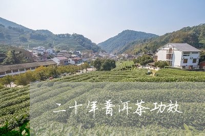 二十年普洱茶功效/2023041446958