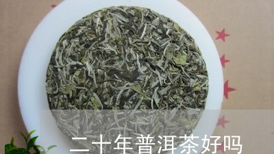 二十年普洱茶好吗/2023040140493