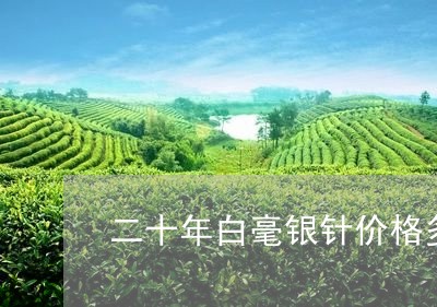 二十年白毫银针价格多少钱/2023033115472