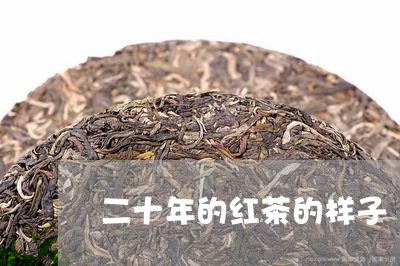 二十年的红茶的样子/2023032140263