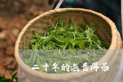 二十年的老普洱茶/2023031715158