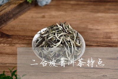 二台坡普洱茶特点/2023033185958