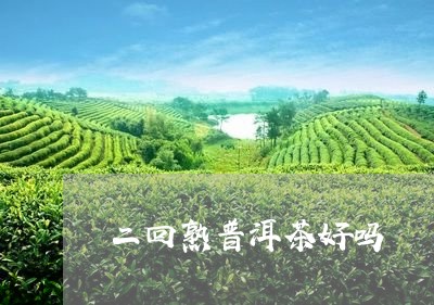 二回熟普洱茶好吗/2023033010615