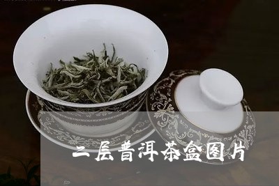 二层普洱茶盒图片/2023041341825