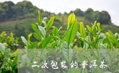 二次包装的普洱茶/2023040124048