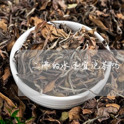 二沸的水适宜泡茶吗/2023032085058