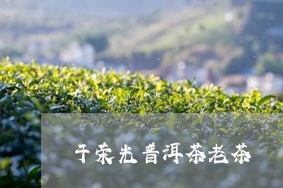 于荣光普洱茶老茶/2023041154038