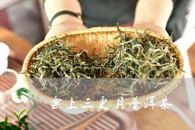 云上三更月普洱茶/2023033026269