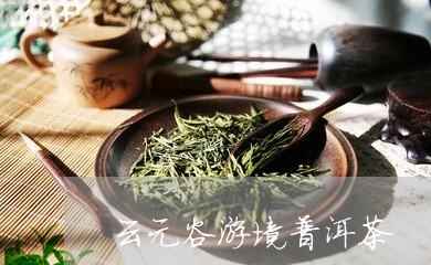 云元谷游境普洱茶/2023033123727