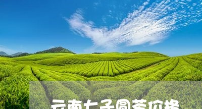 云南七子圆茶价格/2023032766161