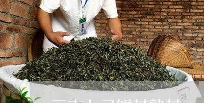 云南七子饼茶熟茶/2023031858713