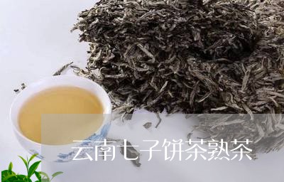 云南七子饼茶熟茶/2023041305370