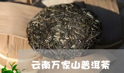 云南万家山普洱茶/2023033157251