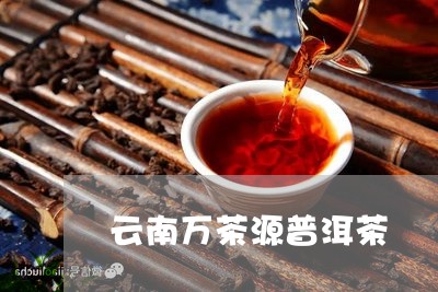 云南万茶源普洱茶/2023041197150