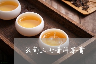 云南三七普洱茶膏/2023040990591