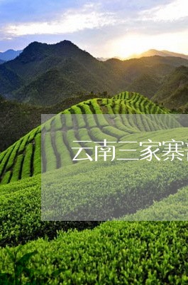 云南三家寨普洱茶/2023033199681