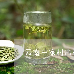 云南三家村古树茶/2023032612626