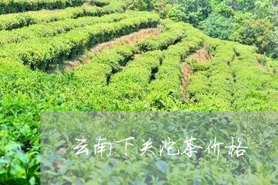 云南下关沱茶价格/2023041347463