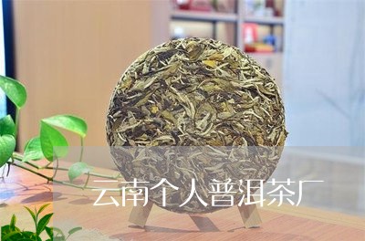 云南个人普洱茶厂/2023033074039