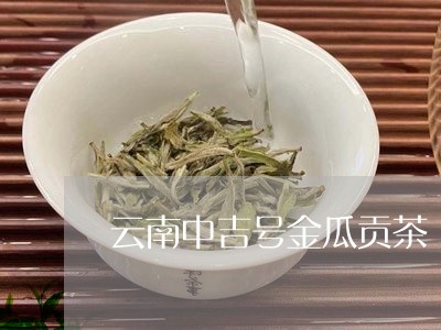 云南中吉号金瓜贡茶/2023032149392