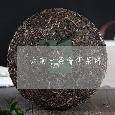 云南中茶普洱茶饼/2023041130726