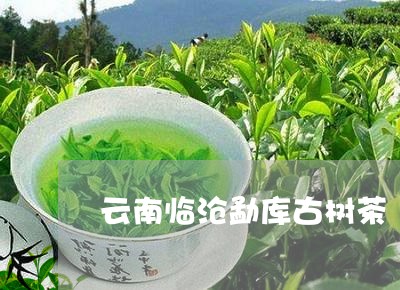 云南临沧勐库古树茶/2023032190371